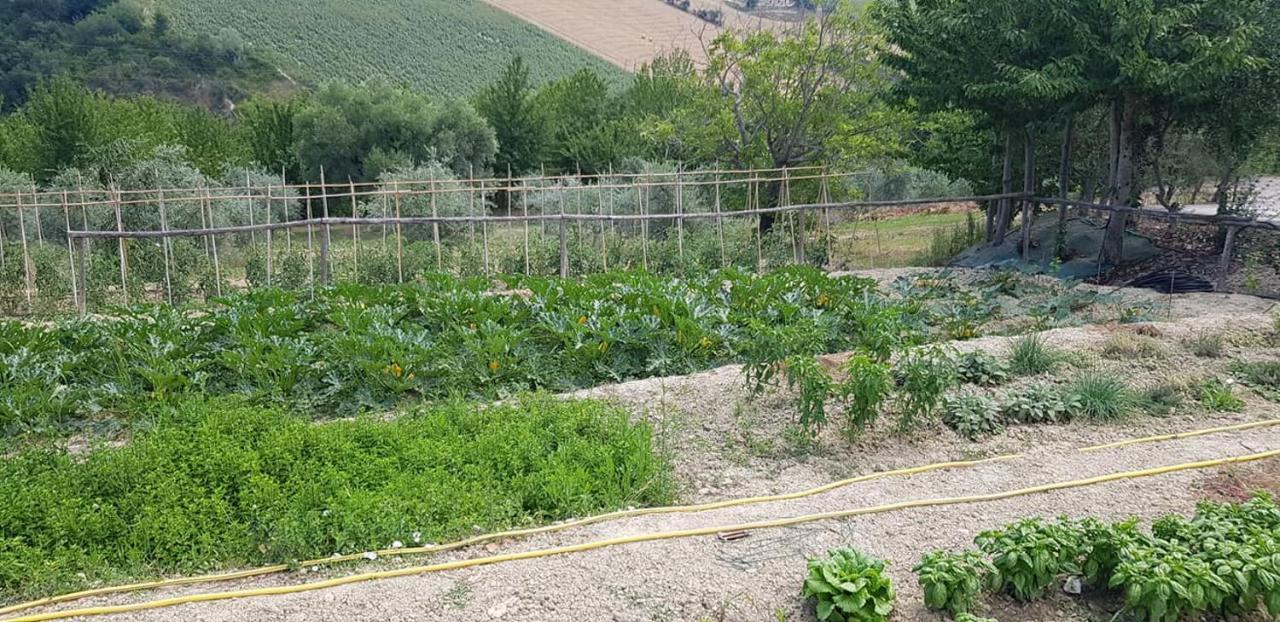 Agriturismo Fiore Di Campo Fermo Exteriér fotografie